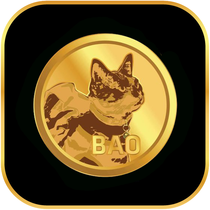 BAOTOKEN